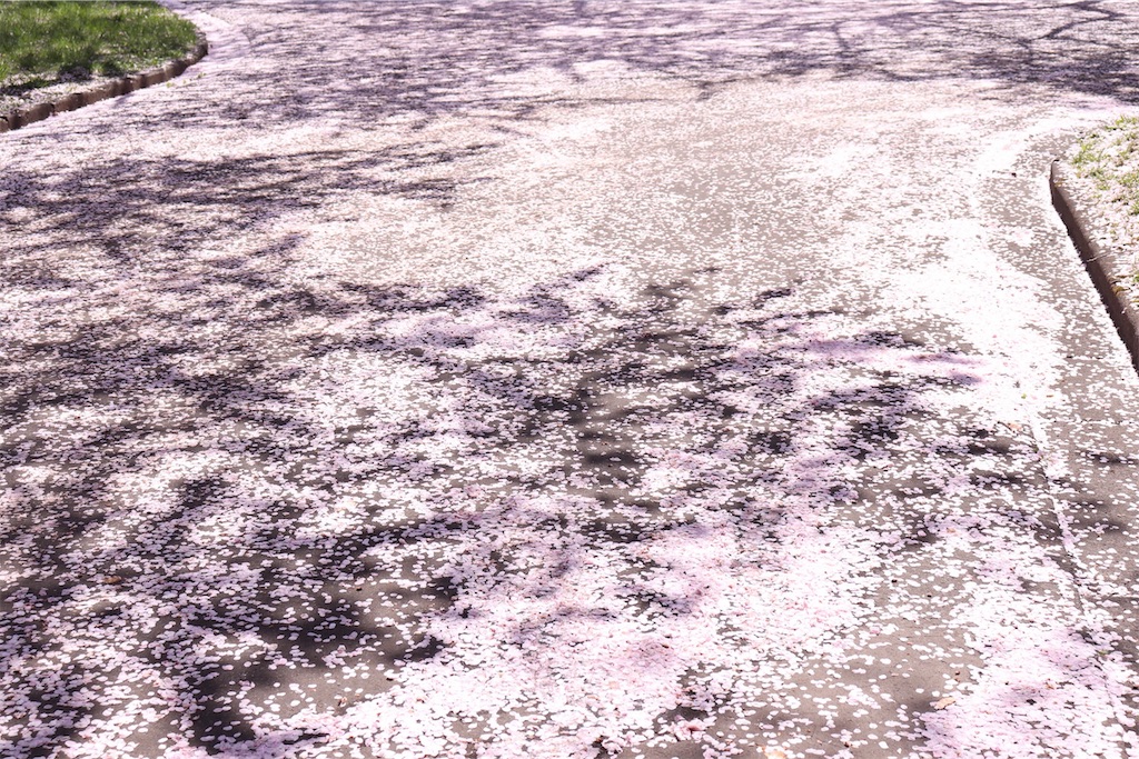 f:id:ojisans115:20190430225007j:image