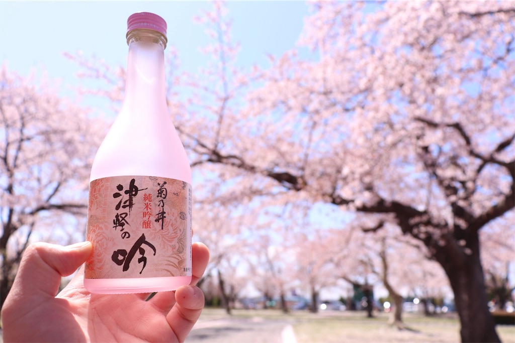 f:id:ojisans115:20190430225243j:image