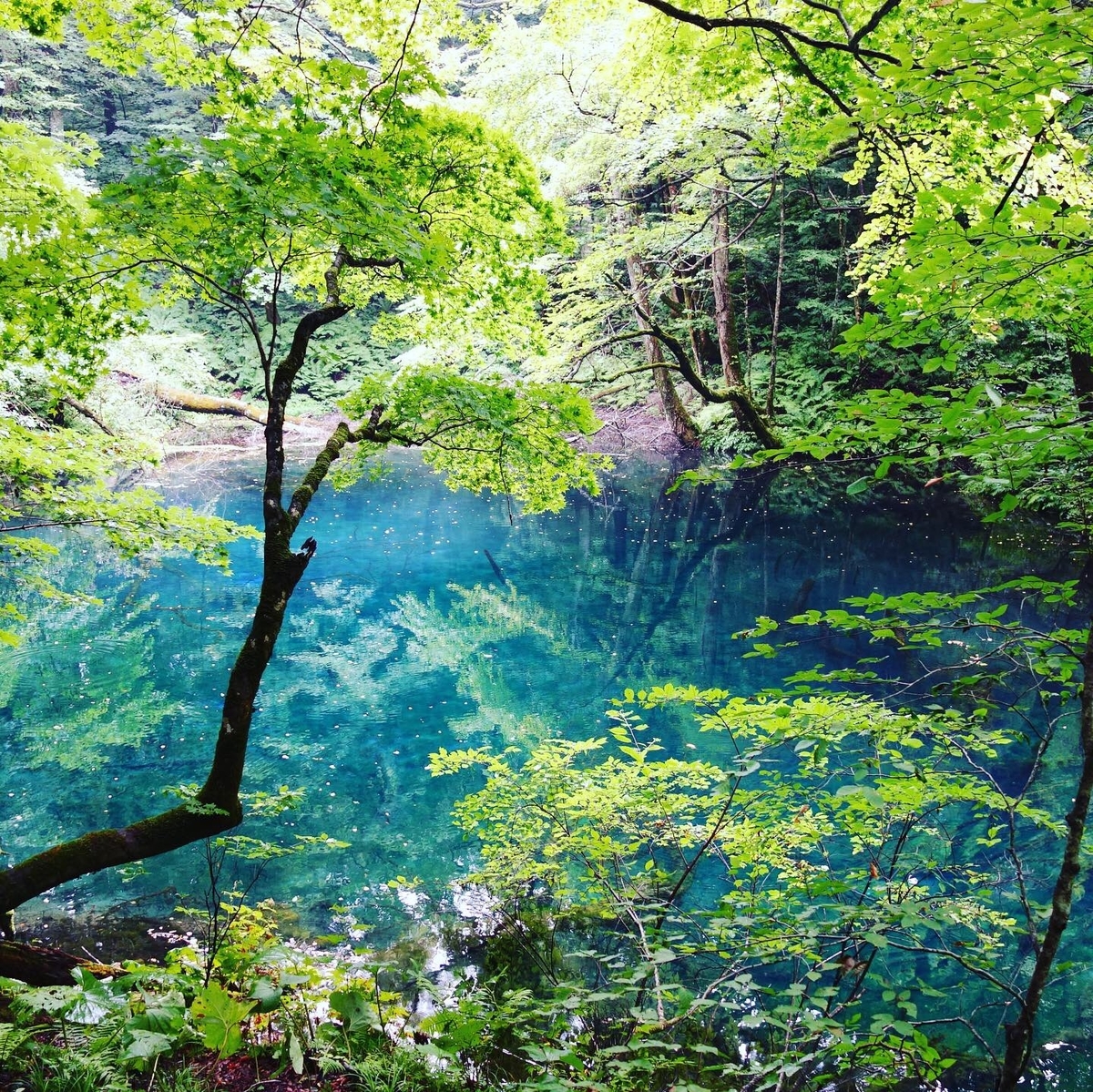 f:id:ojisasusan:20190901132110j:plain f:id:ojisasusan:20190901132110j:plain