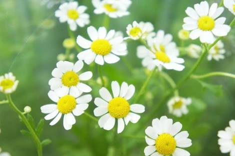 f:id:ojo24:20160908232952j:plain f:id:ojo24:20160908232952j:plain