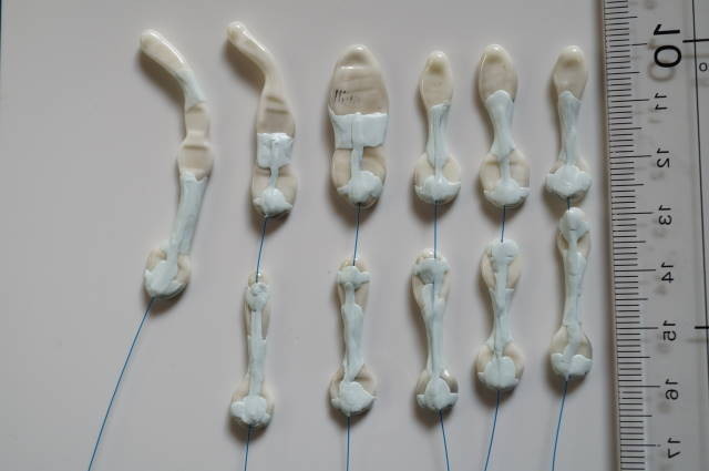 大きな先端カーブを持つ膀胱係留型の試作品