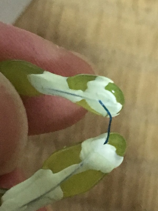 2018年2月掲載の、樹脂が剥がれた二連チップ