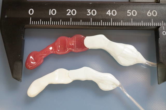 8mmと10mmの核振チップを比べた掲載写真