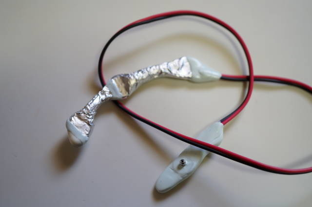A second chip intended to hold the prostate chip's position