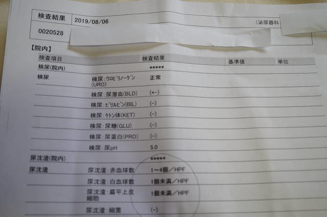 高熱の受診記事に掲載された検査資料の写真
