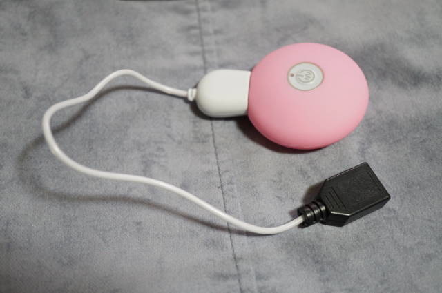 充電式ICコントローラの登場を紹介した日誌の写真