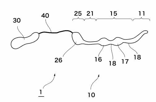 特許申請時の完全尿道内留置構成を示す掲載画像