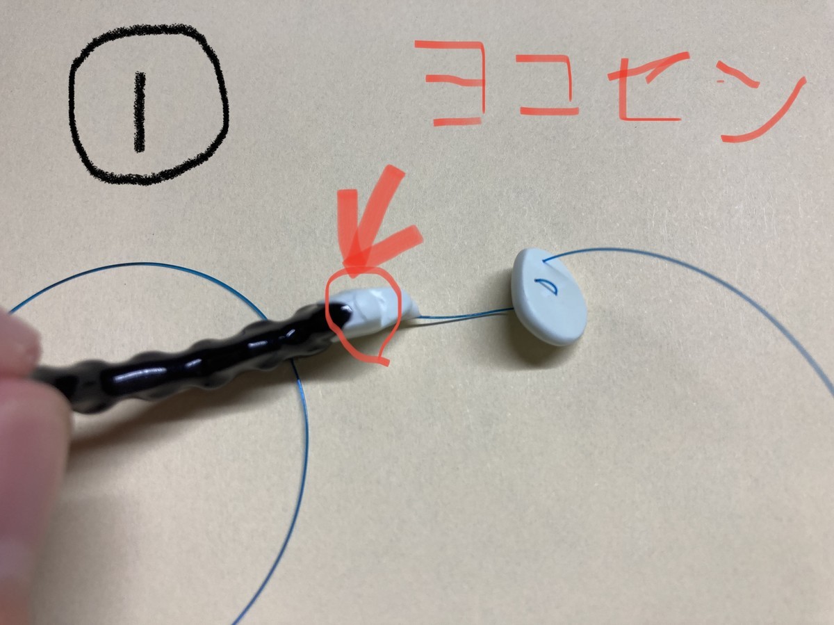 後端の出っ張りが相談されたウミウシver4