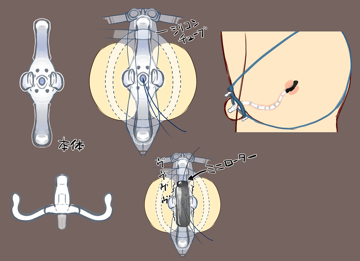 現代アフリカ・クーデター全史