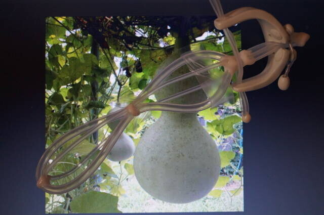 The gourd-shaped device pictured in the entry reporting its design registration.