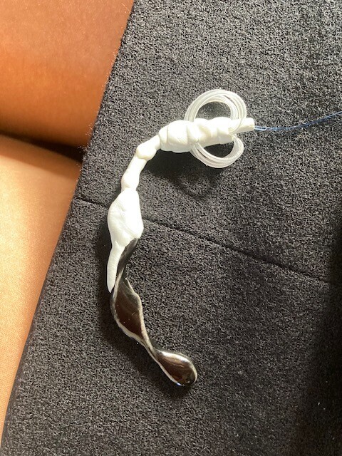 愛称の由来を見直した日誌に掲載されたチップの姿