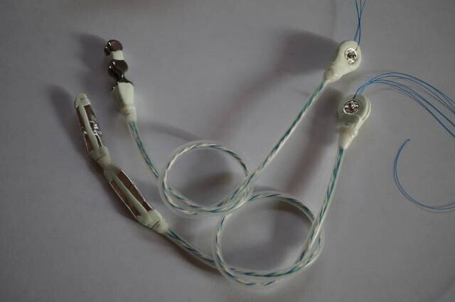 Another view accompanying the February 2026 breakdown of custom electrode charges.
