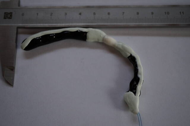 The movable linked sea-slug assembly proposed for a February 2026 request.