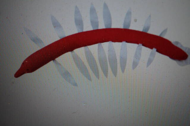 The straight-strand design made with 0.04mm wire and covered tips