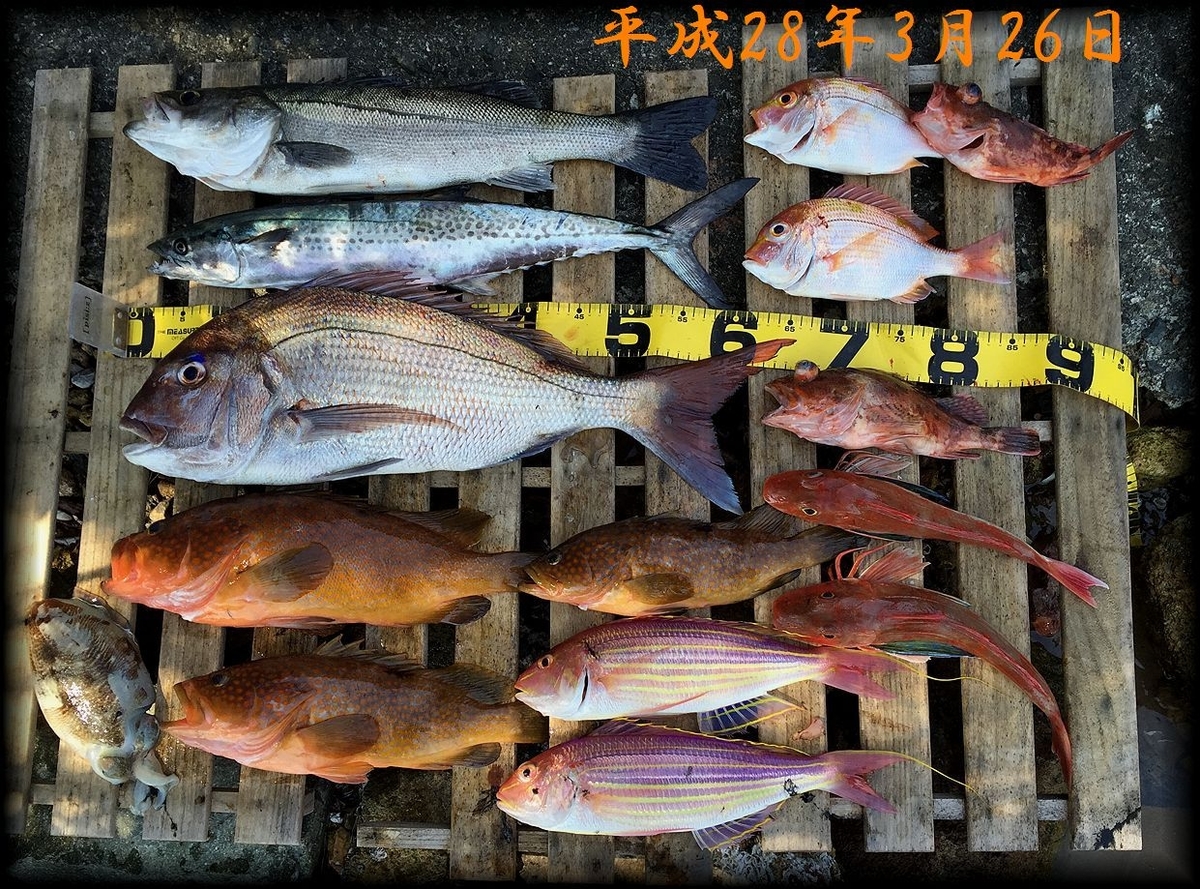 f:id:oka1man:20160326140513j:plain