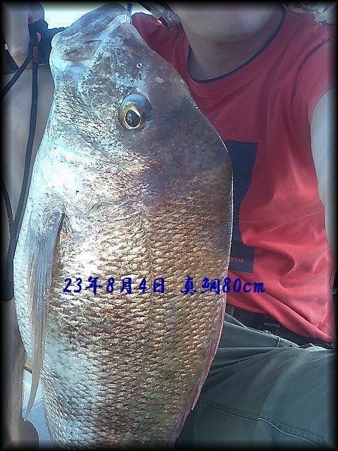 f:id:oka1man:20190321194432j:plain f:id:oka1man:20190321194432j:plain
