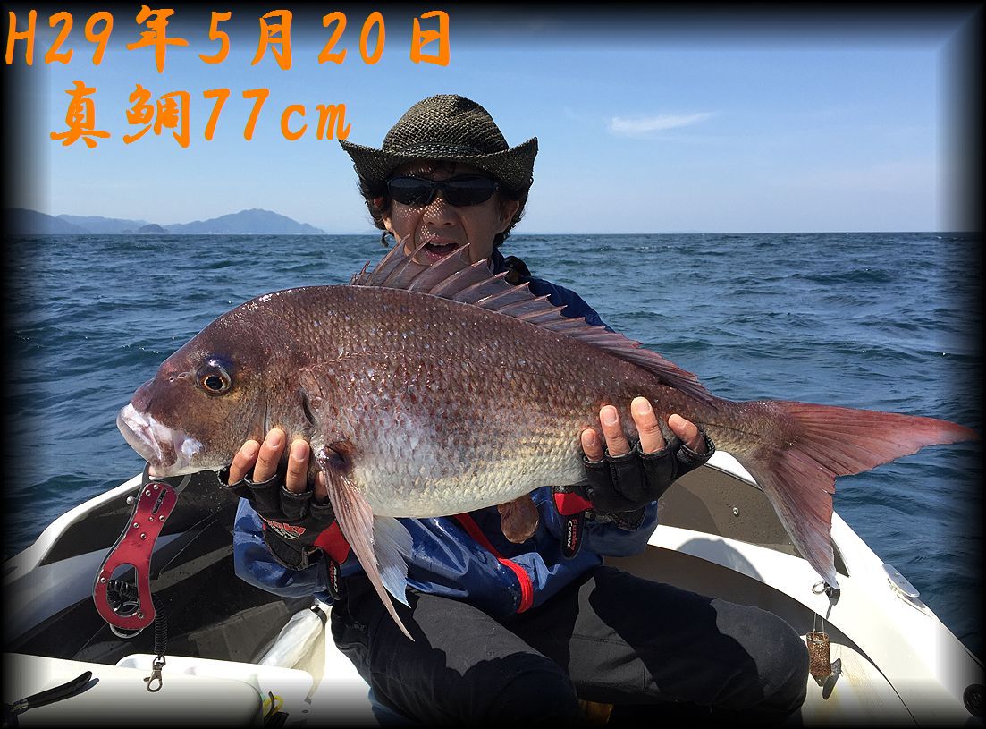 f:id:oka1man:20190321195405j:plain f:id:oka1man:20190321195405j:plain