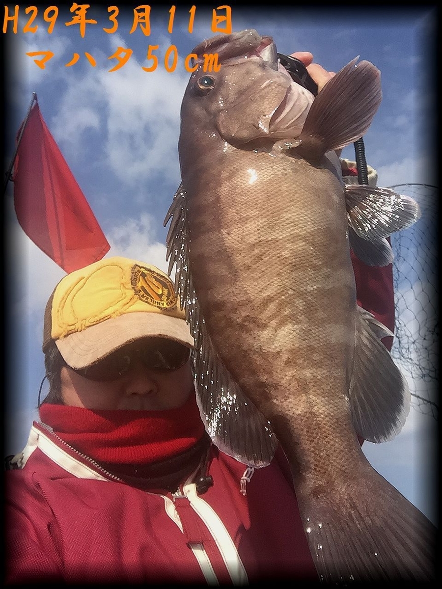 f:id:oka1man:20190321202203j:plain f:id:oka1man:20190321202203j:plain