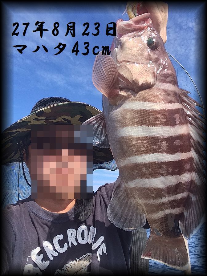 f:id:oka1man:20190321202731j:plain f:id:oka1man:20190321202731j:plain