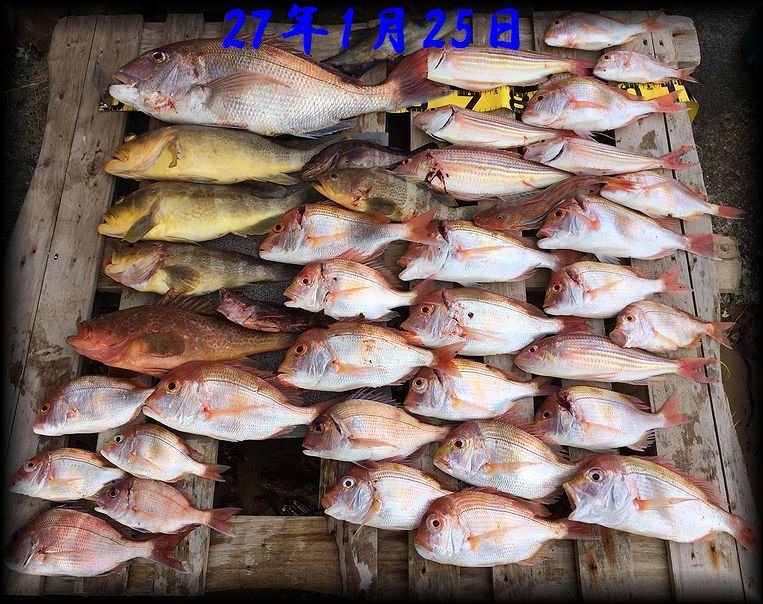 f:id:oka1man:20190322211849j:plain