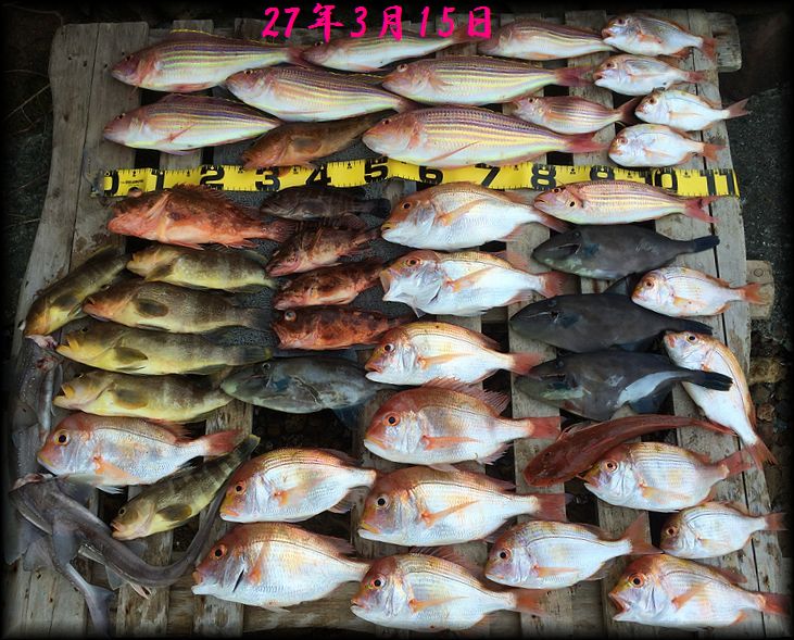f:id:oka1man:20190322211956j:plain