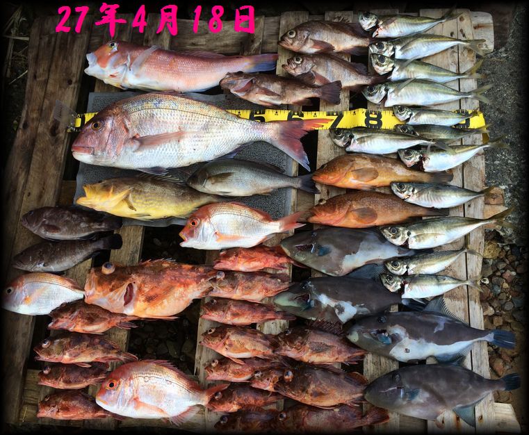 f:id:oka1man:20190322212212j:plain
