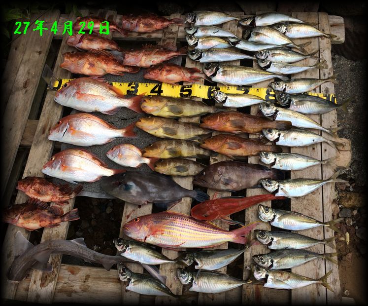 f:id:oka1man:20190322212316j:plain