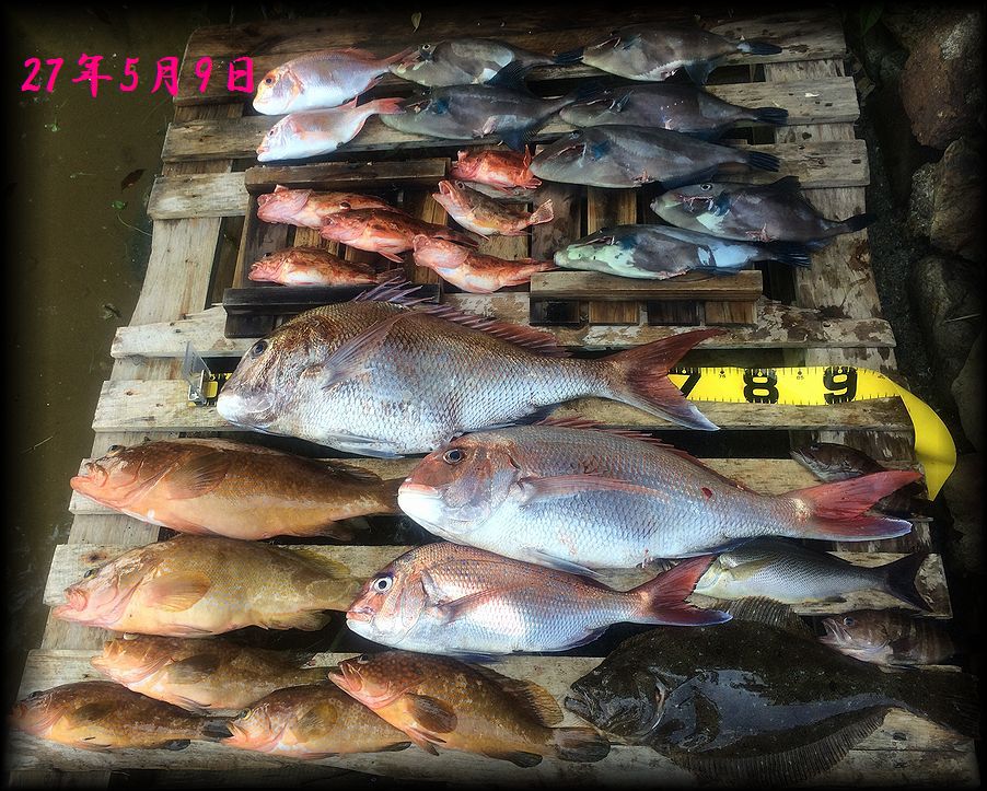 f:id:oka1man:20190322212409j:plain