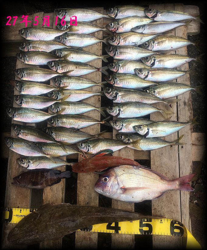 f:id:oka1man:20190322212431j:plain