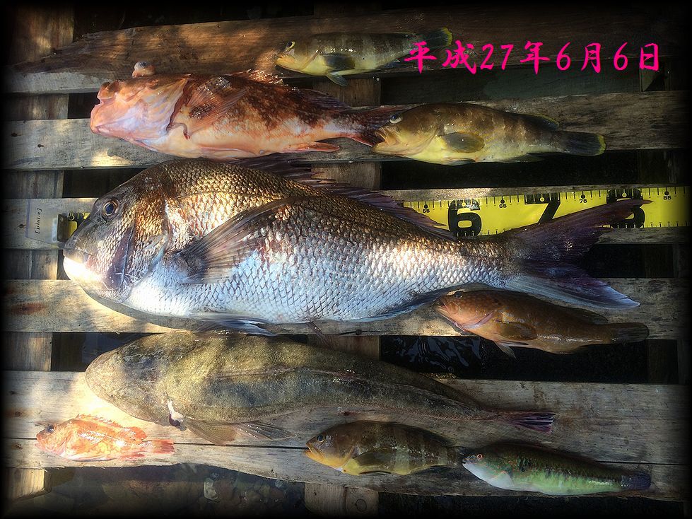 f:id:oka1man:20190322212604j:plain