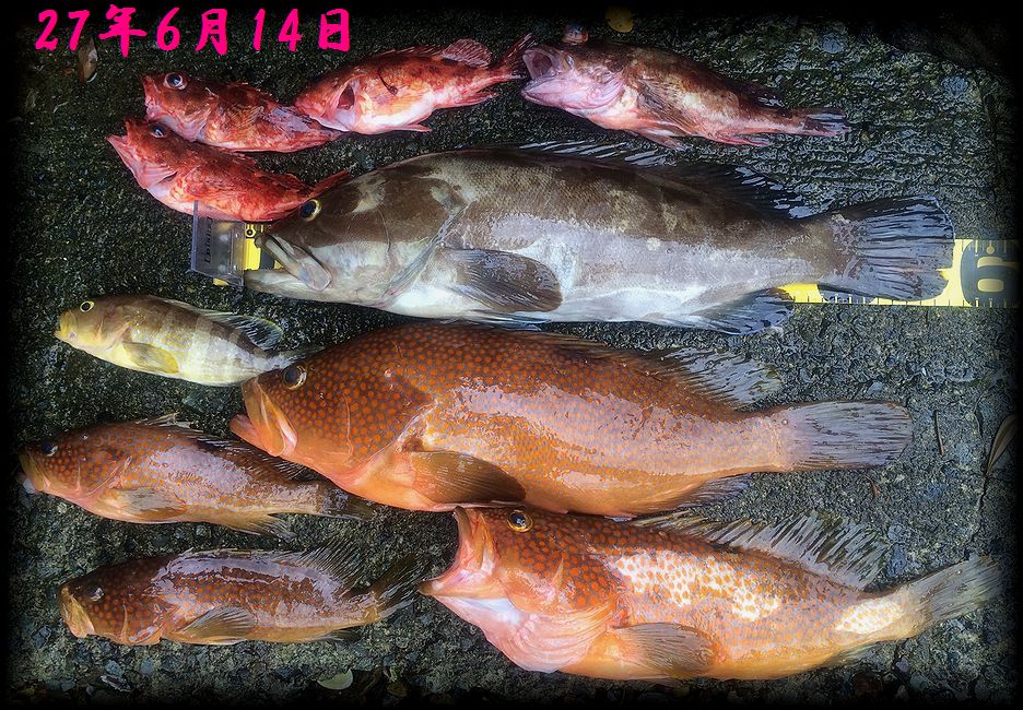 f:id:oka1man:20190322212659j:plain