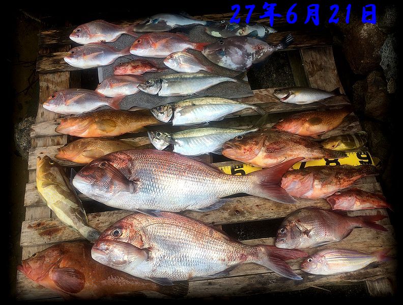 f:id:oka1man:20190322212755j:plain