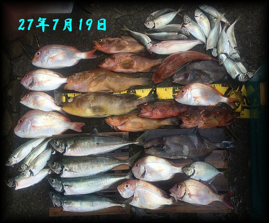 f:id:oka1man:20190322212920j:plain