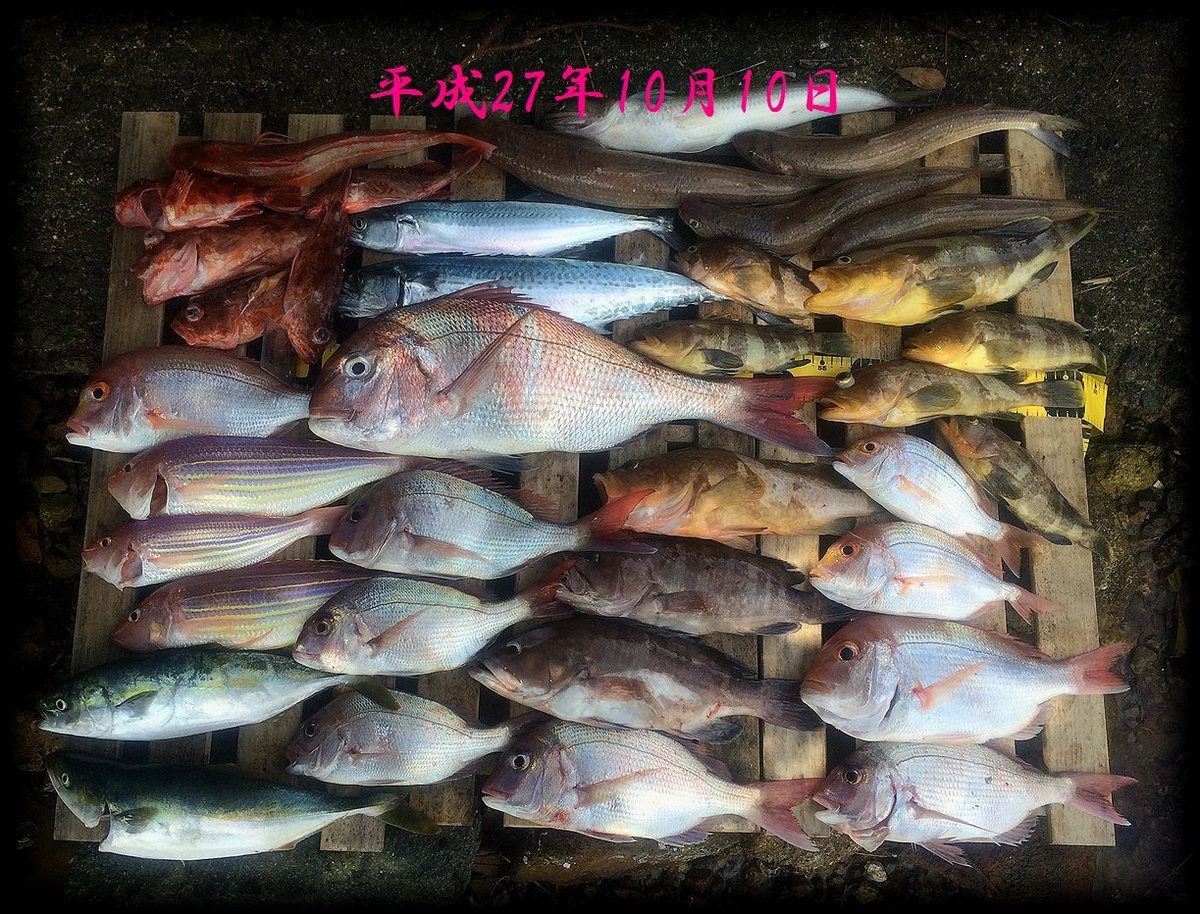 f:id:oka1man:20190322213705j:plain