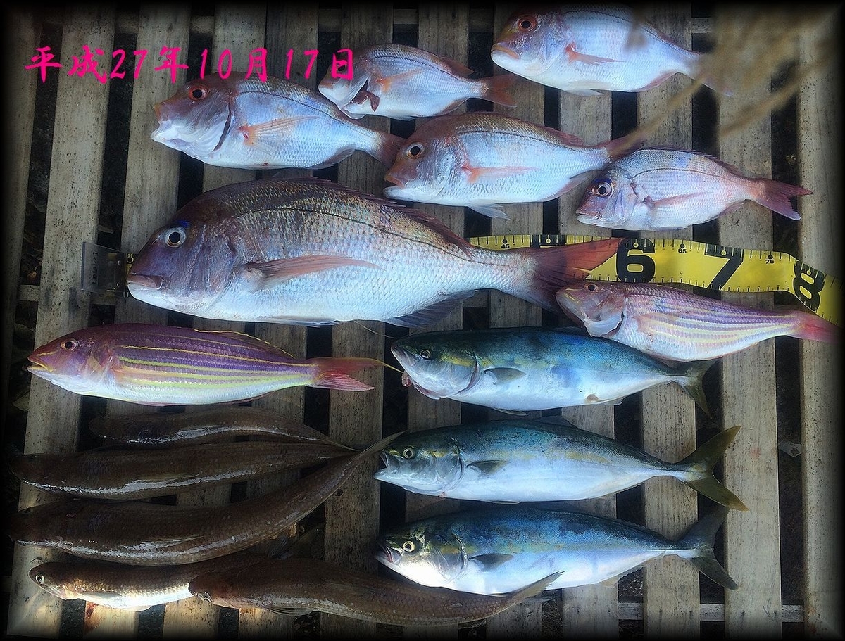 f:id:oka1man:20190322213747j:plain