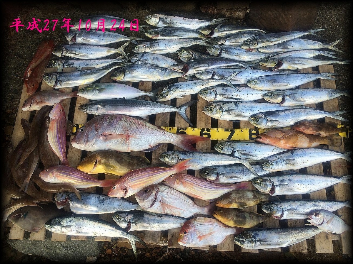 f:id:oka1man:20190322213827j:plain