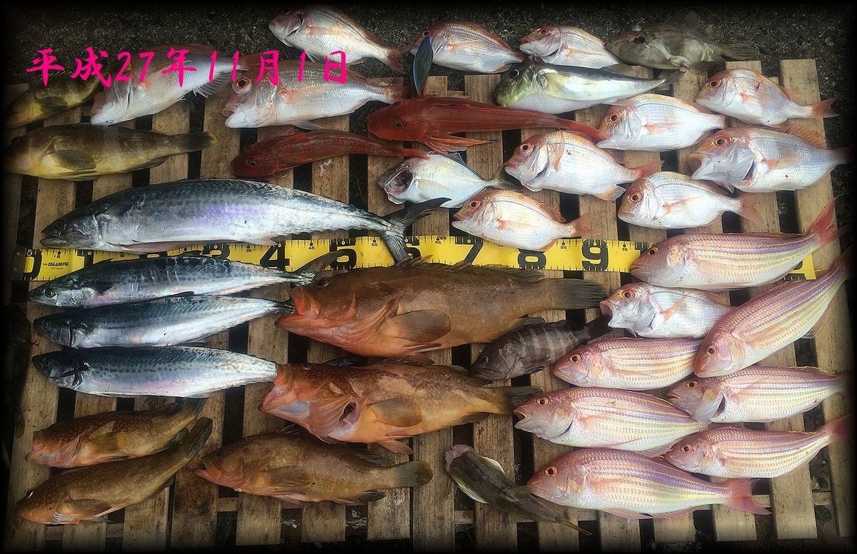f:id:oka1man:20190322213908j:plain
