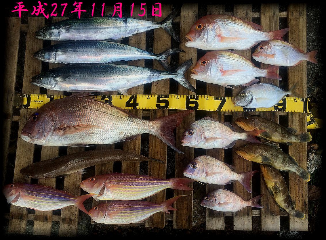 f:id:oka1man:20190322213936j:plain