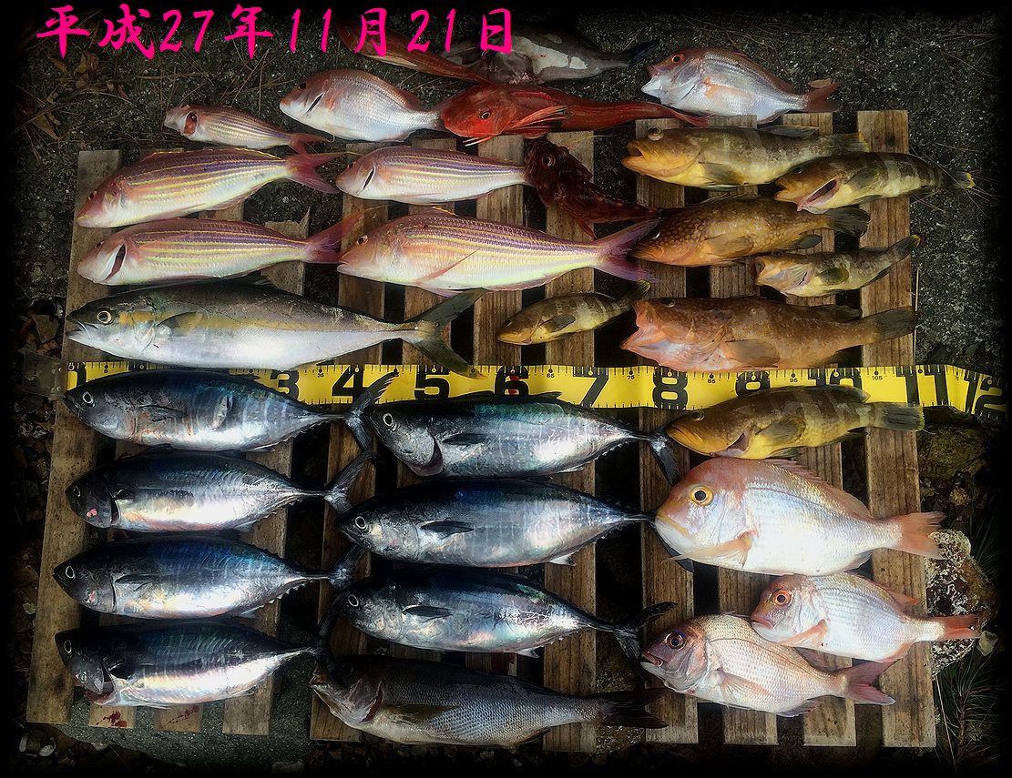 f:id:oka1man:20190322214001j:plain