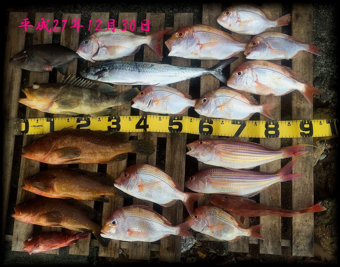 f:id:oka1man:20190322214123j:plain