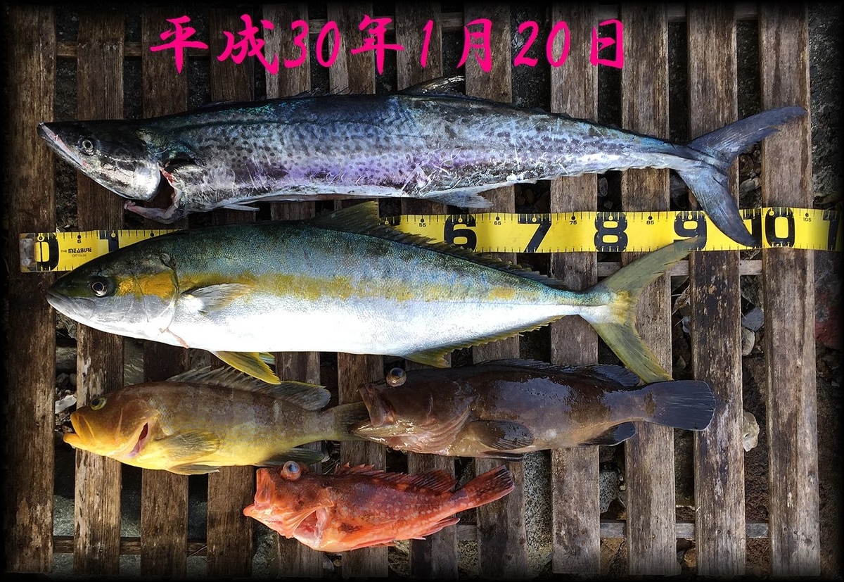 f:id:oka1man:20190323091259j:plain