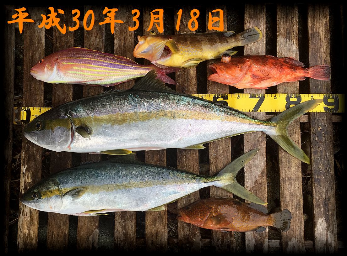 f:id:oka1man:20190323091336j:plain