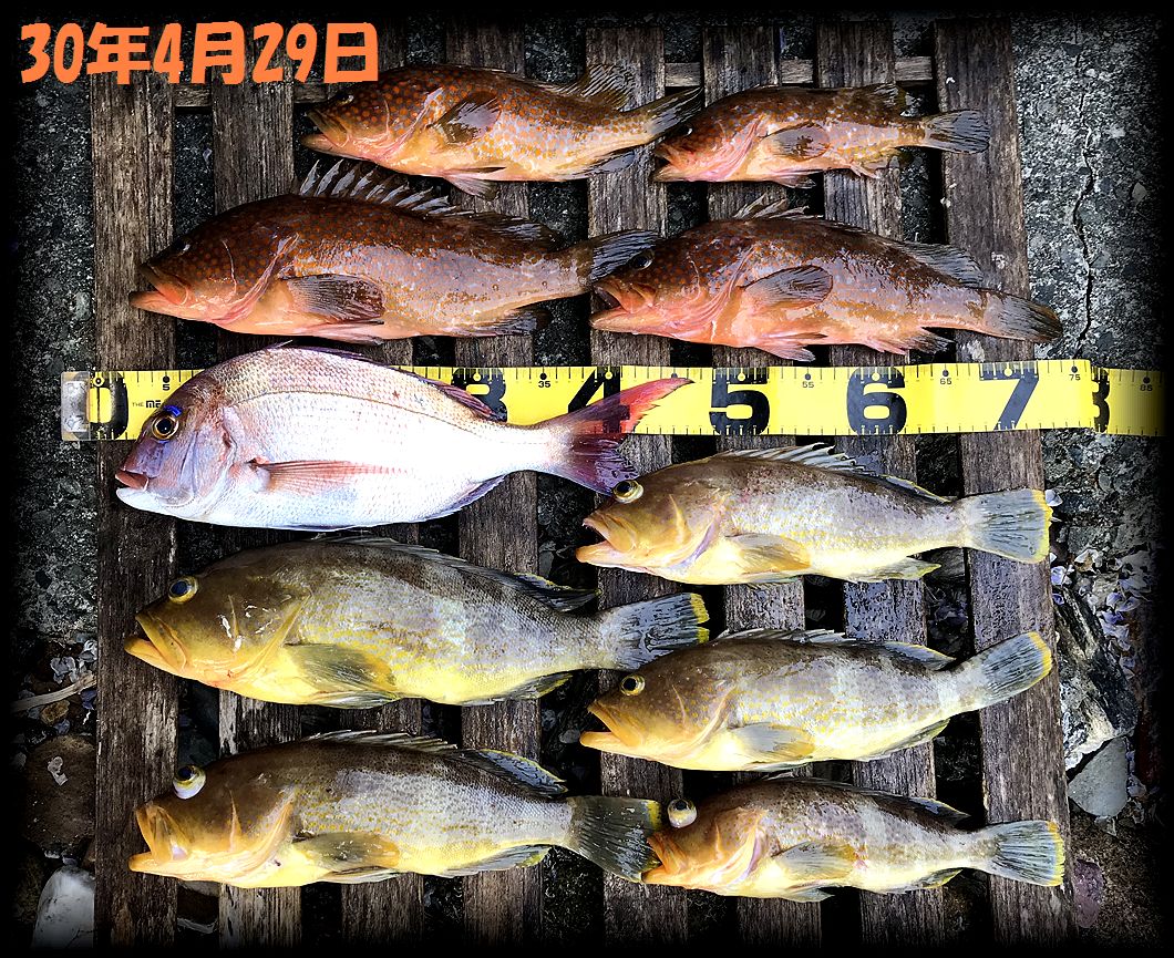 f:id:oka1man:20190323091407j:plain