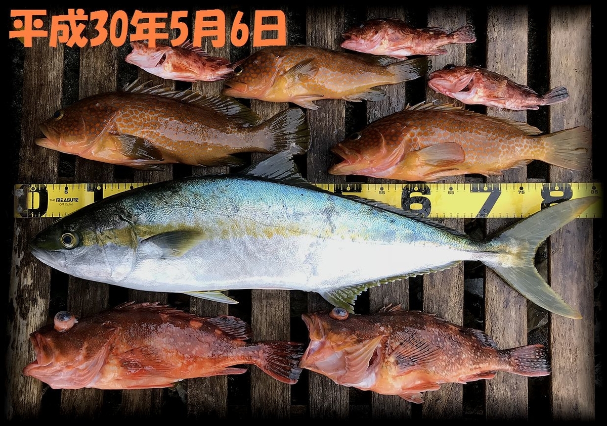 f:id:oka1man:20190323091432j:plain