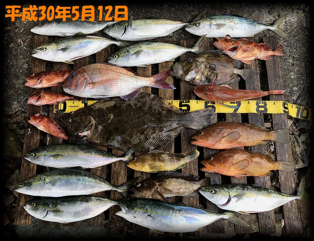 f:id:oka1man:20190323091459j:plain