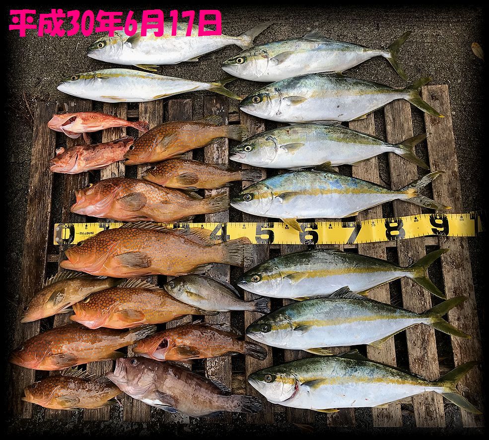 f:id:oka1man:20190323091619j:plain