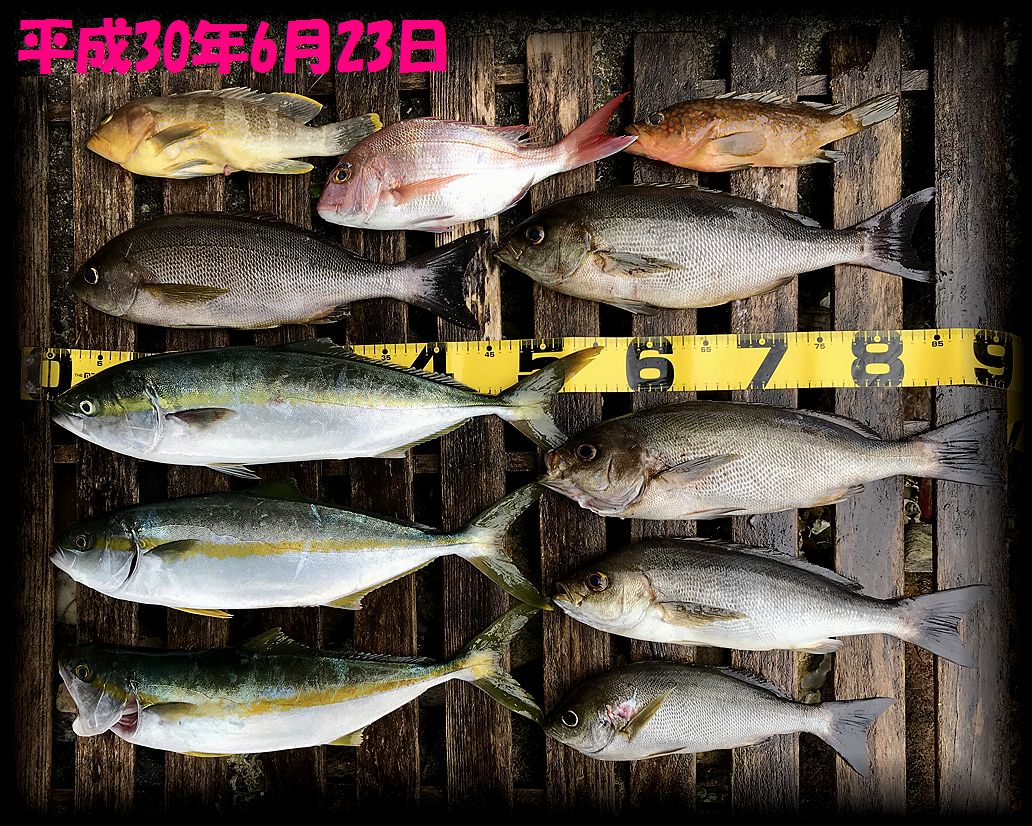 f:id:oka1man:20190323091640j:plain