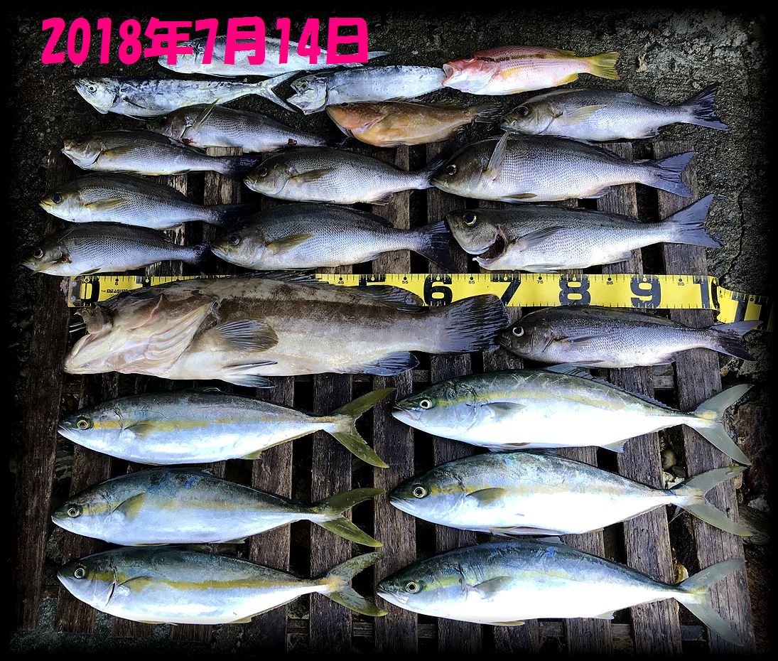 f:id:oka1man:20190323091702j:plain