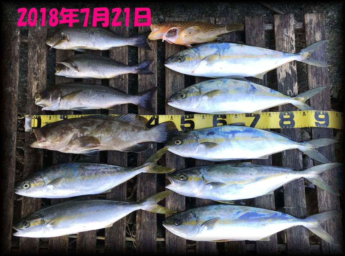 f:id:oka1man:20190323091727j:plain