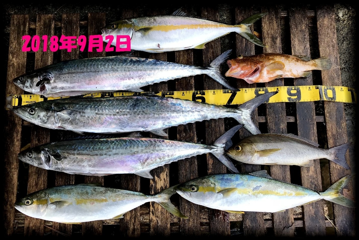f:id:oka1man:20190323091918j:plain